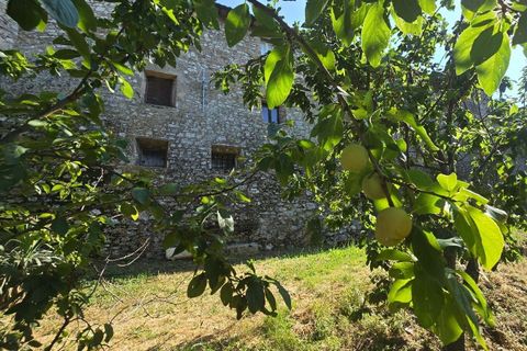 Villa a Montecchio, Terni, Montecchio - € 110.000 | Ref: MON031-876190 - foto 8