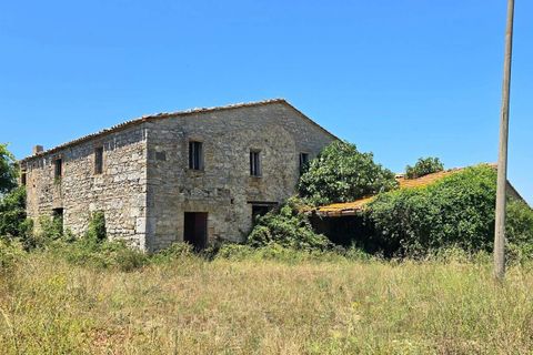 Villa a Baschi, Terni, Baschi - € 630.000 | Ref: BASCHI08-876216 - foto 3