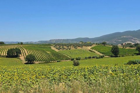 Villa a Baschi, Terni, Baschi - € 630.000 | Ref: BASCHI08-876216 - foto 8
