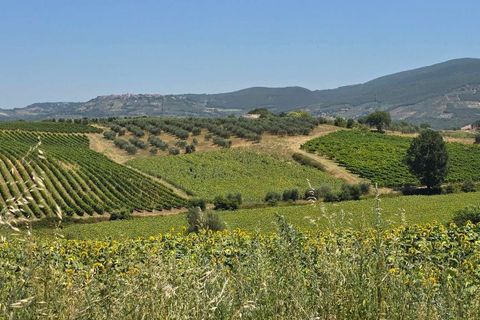 Villa a Baschi, Terni, Baschi - € 630.000 | Ref: BASCHI08-876216 - foto 14