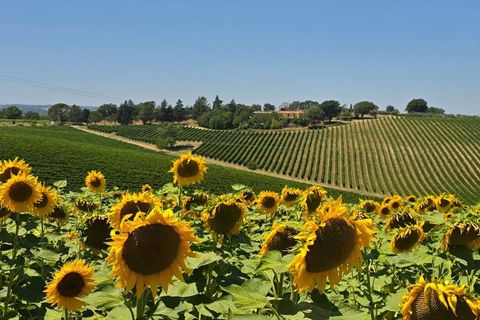 Villa a Baschi, Terni, Baschi - € 630.000 | Ref: BASCHI08-876216 - foto 17