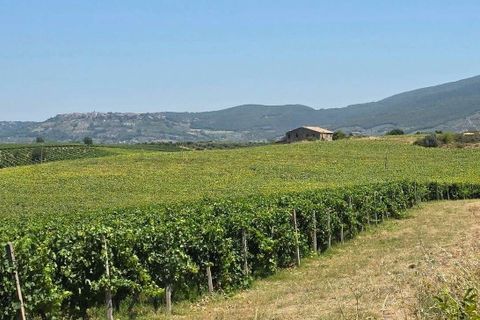 Villa a Baschi, Terni, Baschi - € 630.000 | Ref: BASCHI08-876216 - foto 19