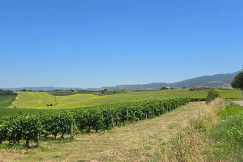 Villa a Baschi, Terni, Baschi - € 630.000 | Ref: BASCHI08-876216 - foto 20