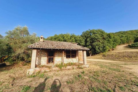 Villa en Baschi, Terni, Baschi - € 329.000 | Ref: CORBARA02-1-876341 - photo 5