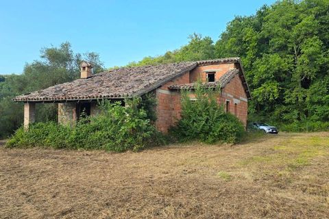 Villa en Baschi, Terni, Baschi - € 329.000 | Ref: CORBARA02-1-876341 - photo 18