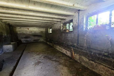 Villa i Orvieto, Terni, Orvieto - € 350.000 | Ref: ORVIETO03-876416 - foto 11