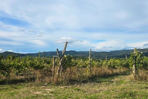 Villa i Orvieto, Terni, Orvieto - € 350.000 | Ref: ORVIETO03-876416 - foto 20