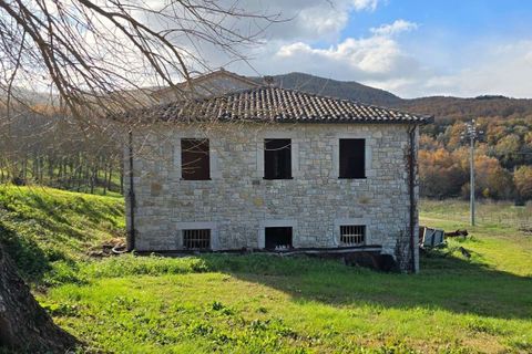 Villa i Baschi, Terni, Baschi - € 1.200.000 | Ref: AZIENDA02-876554 - foto 4