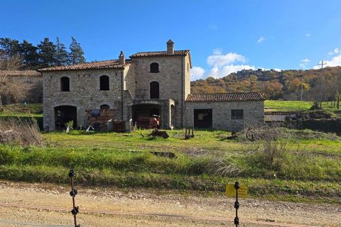 Villa i Baschi, Terni, Baschi - € 1.200.000 | Ref: AZIENDA02-876554 - foto 7