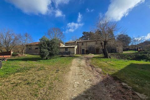 Villa i Baschi, Terni, Baschi - € 1.200.000 | Ref: AZIENDA02-876554 - foto 10