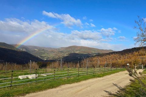 Villa i Baschi, Terni, Baschi - € 1.200.000 | Ref: AZIENDA02-876554 - foto 12