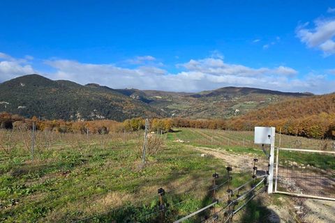 Villa i Baschi, Terni, Baschi - € 1.200.000 | Ref: AZIENDA02-876554 - foto 13