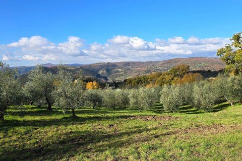 Villa i Baschi, Terni, Baschi - € 1.200.000 | Ref: AZIENDA02-876554 - foto 14
