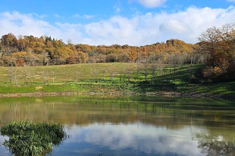 Villa i Baschi, Terni, Baschi - € 1.200.000 | Ref: AZIENDA02-876554 - foto 15