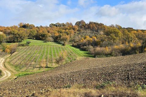 Villa i Baschi, Terni, Baschi - € 1.200.000 | Ref: AZIENDA02-876554 - foto 16
