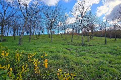Villa i Baschi, Terni, Baschi - € 1.200.000 | Ref: AZIENDA02-876554 - foto 17