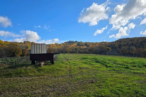 Villa i Baschi, Terni, Baschi - € 1.200.000 | Ref: AZIENDA02-876554 - foto 18