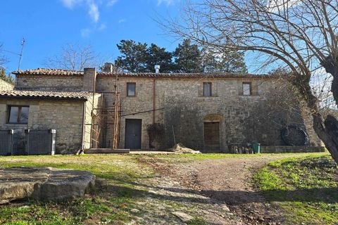 Villa i Baschi, Terni, Baschi - € 1.200.000 | Ref: AZIENDA02-876554 - foto 21