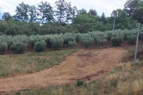 Villa a Guardea, Terni, Guardea - € 168.000 | Ref: FRATTUCCIA02-1-877026 - foto 5