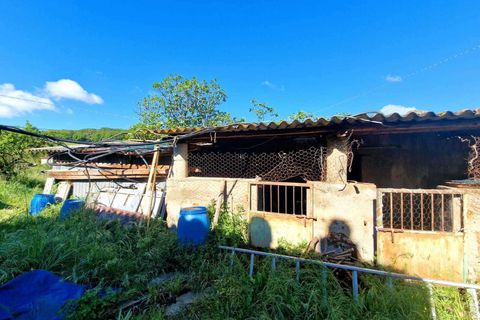 Villa i Amelia, Terni, Amelia - € 148.000 | Ref: Amelia023-877070 - foto 3