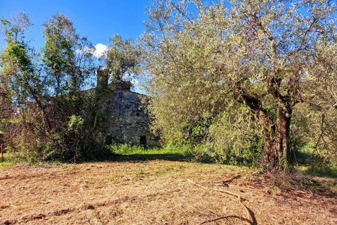 Villa i Amelia, Terni, Amelia - € 148.000 | Ref: Amelia023-877070 - foto 19