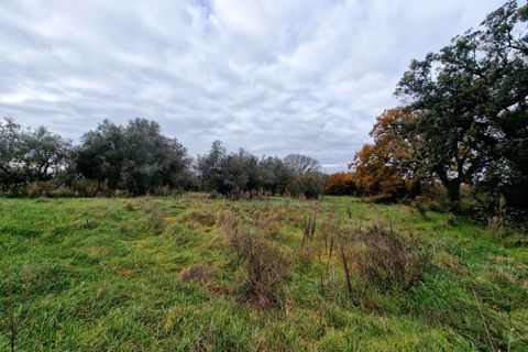 Villa a Amelia, Terni, Amelia - € 160.000 | Ref: PORCHIANO20-1-877326 - foto 6