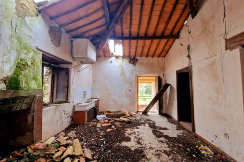 Villa a Amelia, Terni, Amelia - € 160.000 | Ref: PORCHIANO20-1-877326 - foto 22