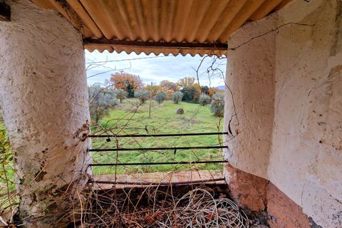 Villa a Amelia, Terni, Amelia - € 160.000 | Ref: PORCHIANO20-1-877326 - foto 23