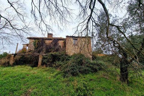 Villa a Amelia, Terni, Amelia - € 160.000 | Ref: PORCHIANO20-1-877326 - foto 25