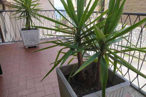 Villa a Guardea, Terni, Guardea - € 75.000 | Ref: Guareda002-877453 - foto 16