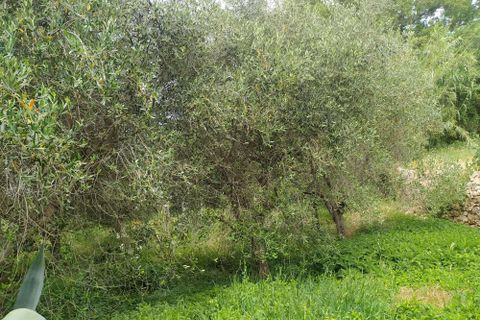 Villa a Guardea, Terni, Guardea - € 75.000 | Ref: Guareda002-877453 - foto 22