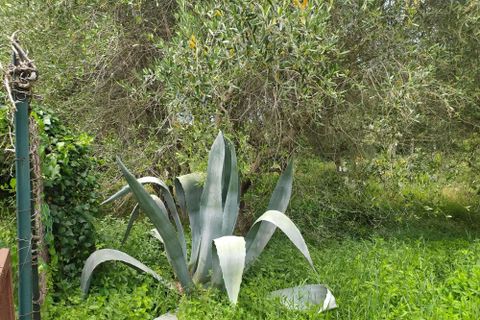 Villa a Guardea, Terni, Guardea - € 75.000 | Ref: Guareda002-877453 - foto 23