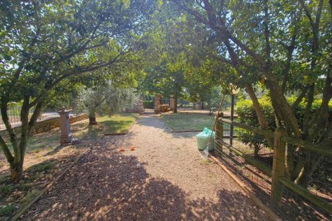 Villa i Amelia, Terni, Amelia - € 1.450.000 | Ref: Amelia003-877594 - foto 8