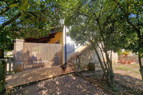 Villa i Amelia, Terni, Amelia - € 1.450.000 | Ref: Amelia003-877594 - foto 9