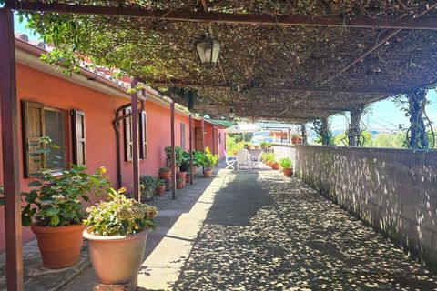 Villa a Montecchio, Terni, Montecchio - € 430.000 | Ref: MON33-1-2-877950 - foto 11