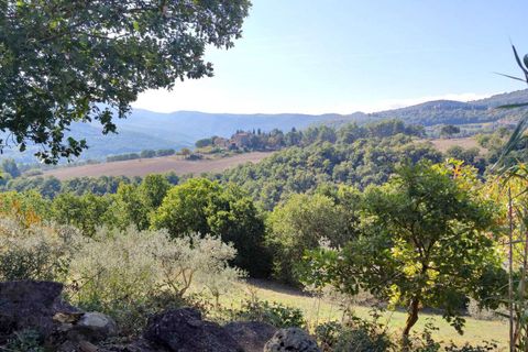 Villa i Todi, Perugia, Todi - € 220.000 | Ref: TODI25-2-878223 - foto 1