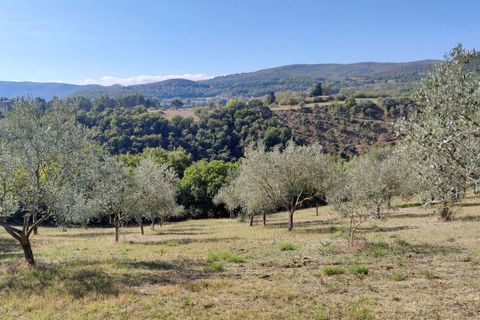 Villa i Todi, Perugia, Todi - € 220.000 | Ref: TODI25-2-878223 - foto 9