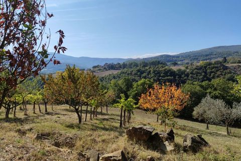 Villa i Todi, Perugia, Todi - € 220.000 | Ref: TODI25-2-878223 - foto 11