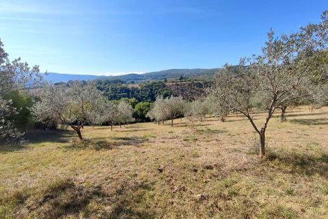 Villa i Todi, Perugia, Todi - € 220.000 | Ref: TODI25-2-878223 - foto 12