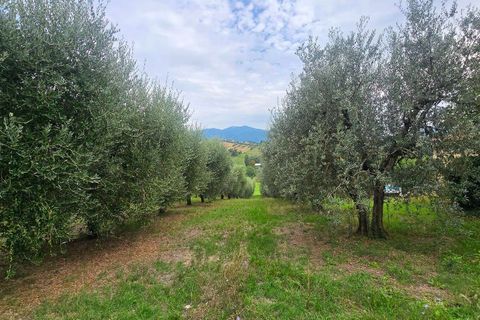 Villa i Terni, Terni, Terni - € 78.000 | Ref: Collescipoli02-878252 - foto 3