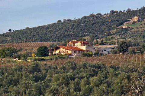 Villa i Montecchio, Terni, Montecchio - € 1.200.000 | Ref: MON030-1-1-1-878529 - foto 2