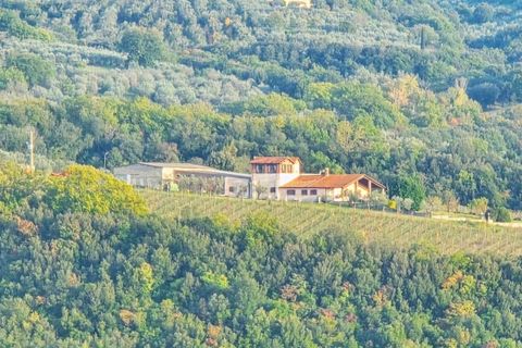 Villa i Montecchio, Terni, Montecchio - € 1.200.000 | Ref: MON030-1-1-1-878529 - foto 3