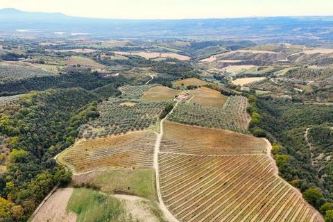 Villa i Montecchio, Terni, Montecchio - € 1.200.000 | Ref: MON030-1-1-1-878529 - foto 4