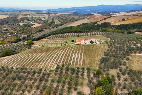 Villa i Montecchio, Terni, Montecchio - € 1.200.000 | Ref: MON030-1-1-1-878529 - foto 5