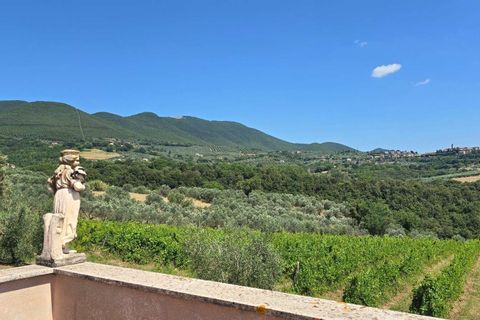 Villa i Montecchio, Terni, Montecchio - € 1.200.000 | Ref: MON030-1-1-1-878529 - foto 8