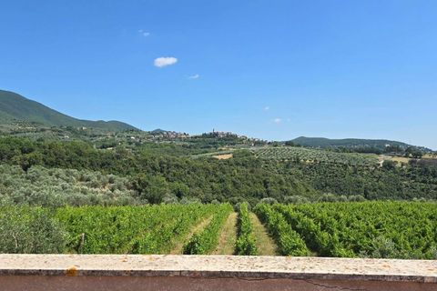 Villa i Montecchio, Terni, Montecchio - € 1.200.000 | Ref: MON030-1-1-1-878529 - foto 10