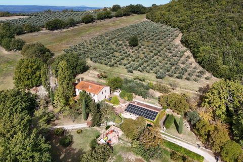Villa a Amelia, Terni, Amelia - € 790.000 | Ref: AMELIA07100-879461 - foto 2