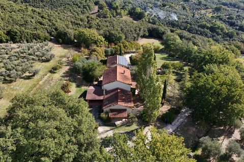 Villa a Amelia, Terni, Amelia - € 790.000 | Ref: AMELIA07100-879461 - foto 3