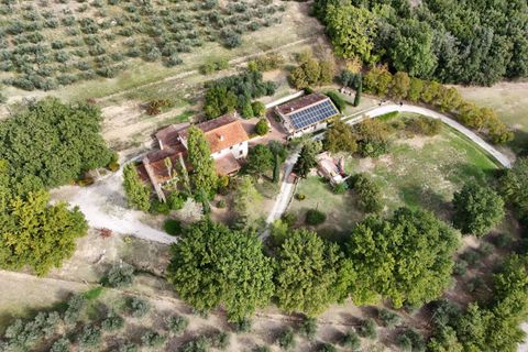 Villa a Amelia, Terni, Amelia - € 790.000 | Ref: AMELIA07100-879461 - foto 7
