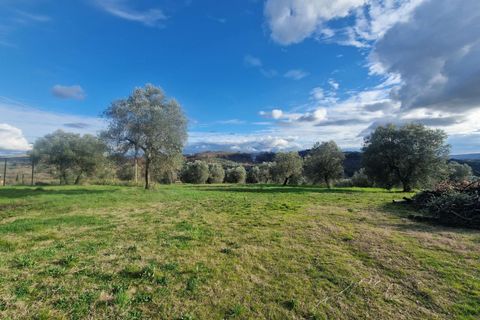 Villa in Amelia, Terni, Amelia - € 115.000 | Ref: AMELIA110-879534 - foto 2